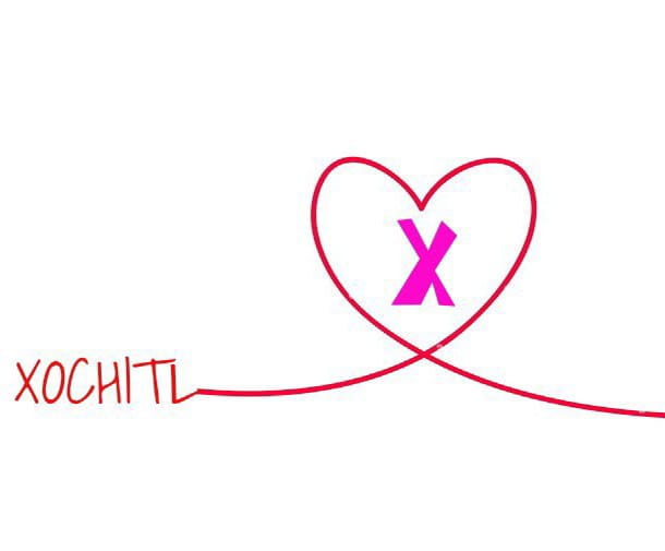Xóchitl Va 2