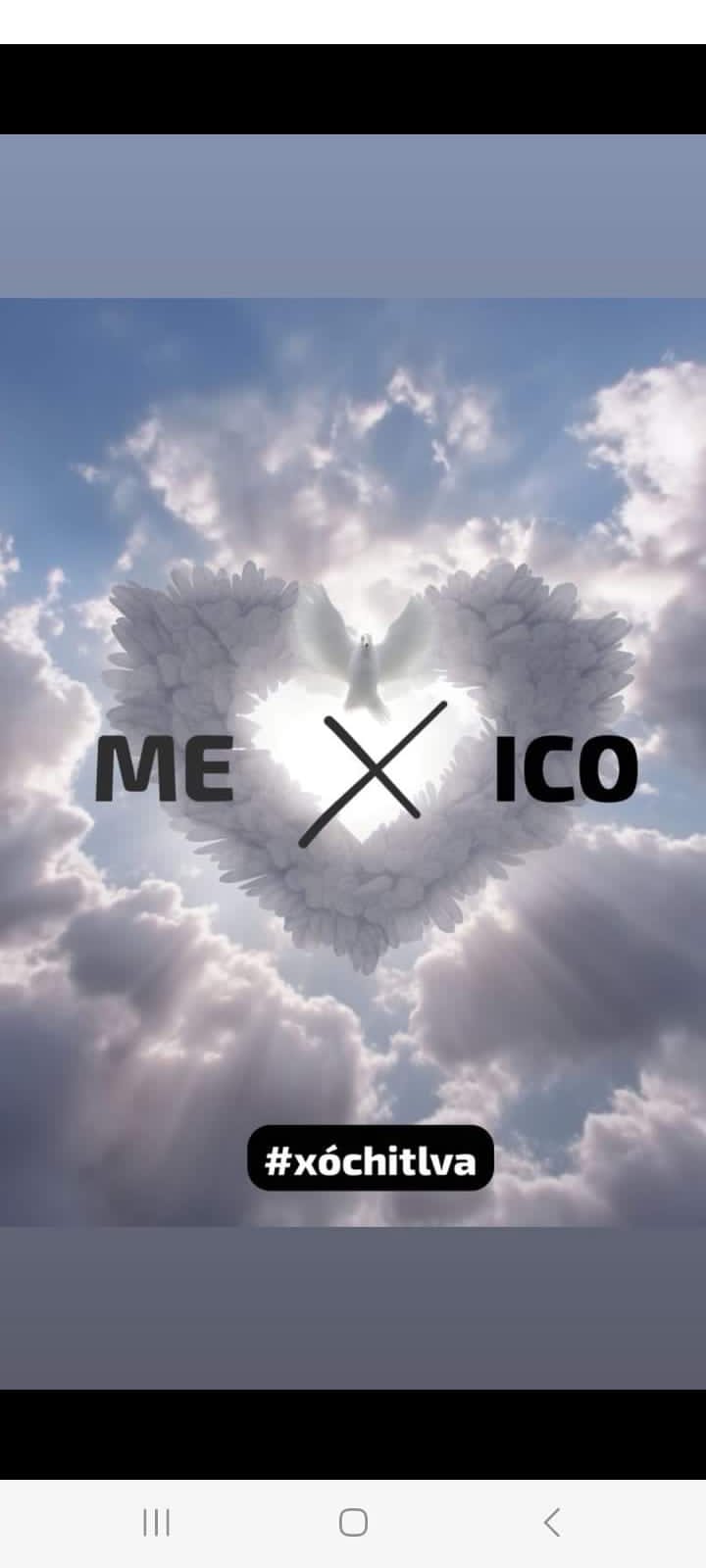 Xóchitl Va 4