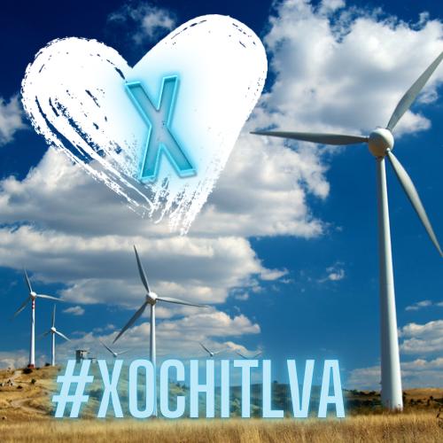 Xóchitl Va 11
