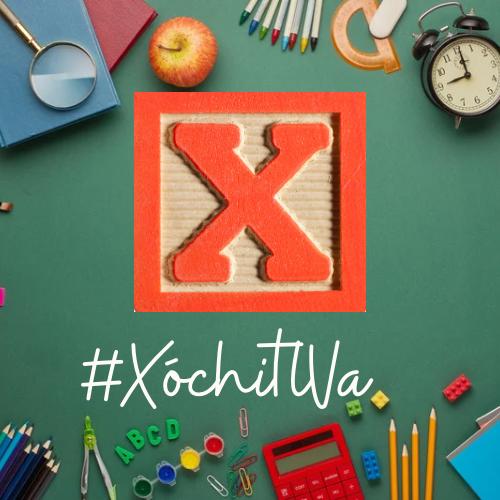 Xóchitl Va 9